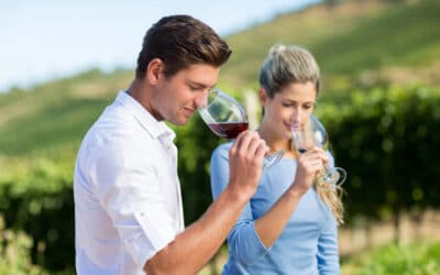 Sip and Savor: Mastering Wine Tasting Do’s and Don’ts